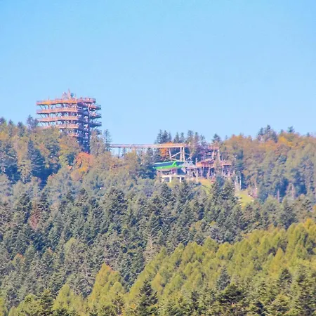 Center - Zdrojowe * Krynica Zdroj