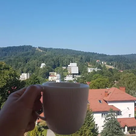 Center - Zdrojowe Apartment Krynica Zdroj